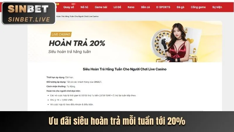 Ưu đãi và khuyến mãi độc quyền